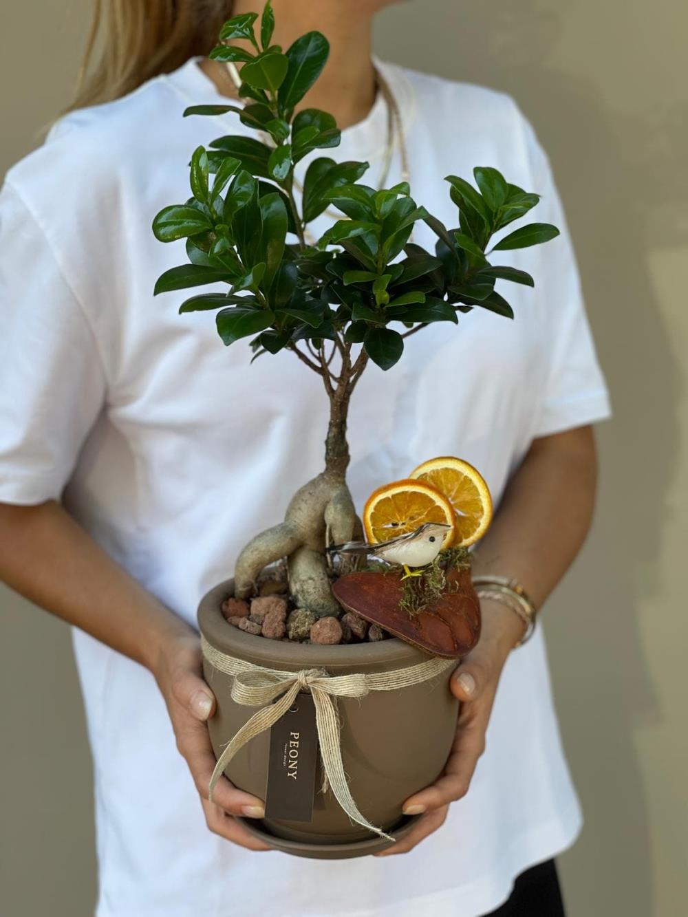 Bonsai Ağacı